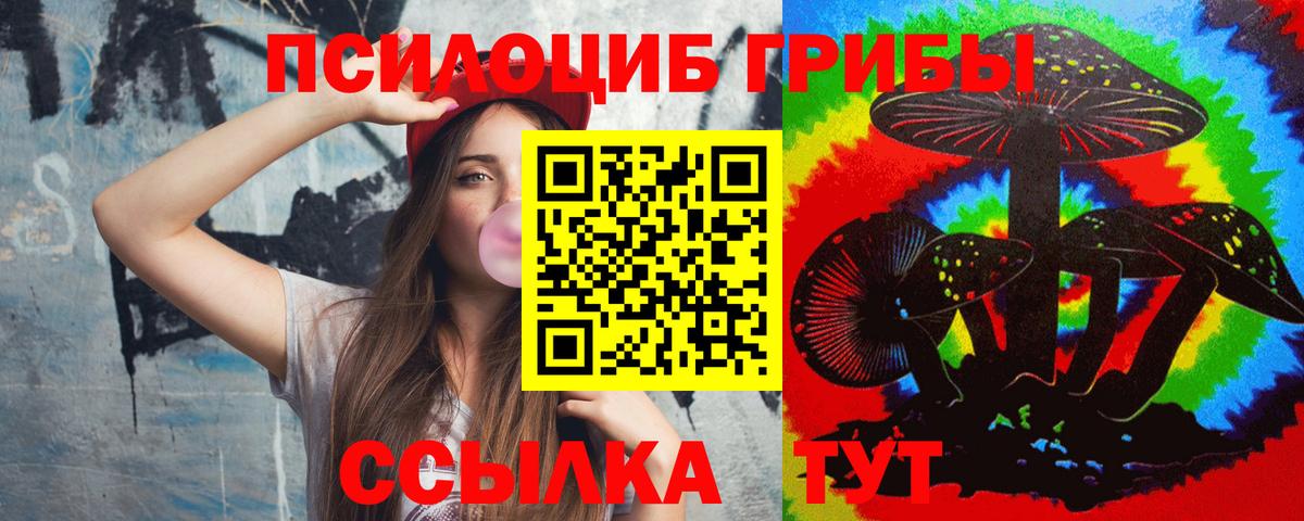 Псилоцибиновые грибы GOLDEN TEACHER  Вход с VPN  Псилоцибиновые грибы Psilocybine cubensis  Узловая 