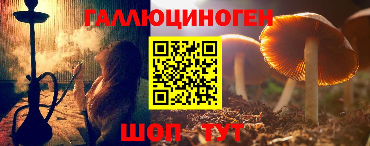 Галлюциногенные грибы мухоморы Узловая